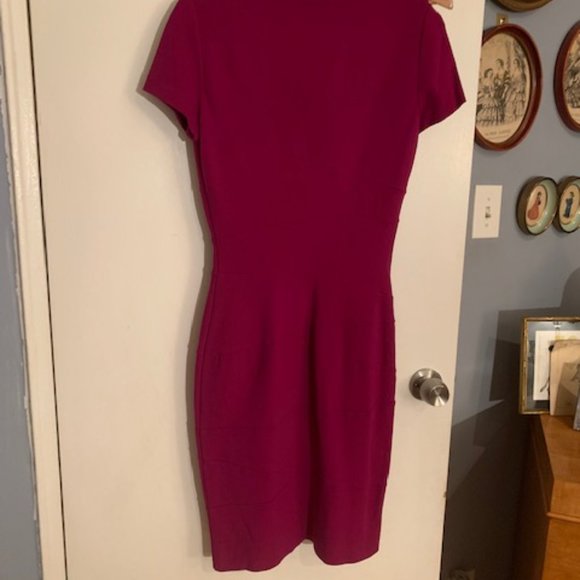 DVF BodyCon Dress - Picture 6 of 6